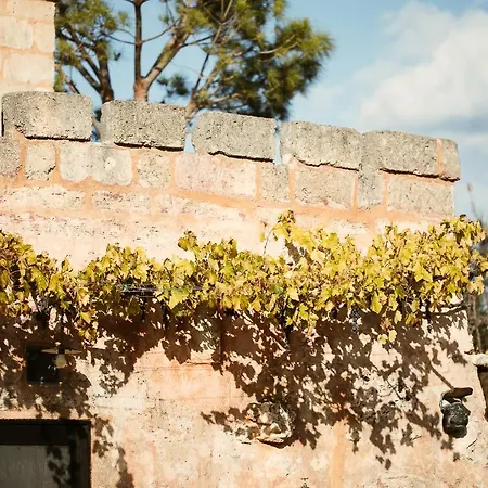 Nyaraló Torre Spierti